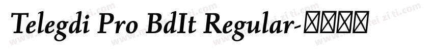  Telegdi Pro BdIt Regular字体转换